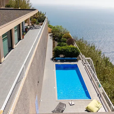 Ledo By Madeira Dream *