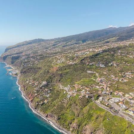 Ledo By Madeira Dream